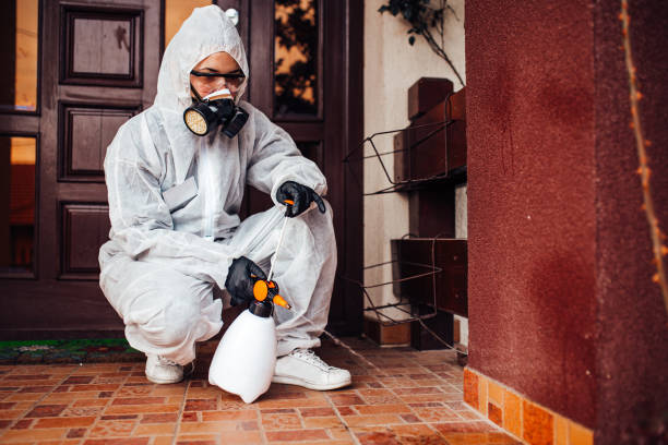 Reliable Termite Control contractor in Murrells Inlet, SC by Nex Pest Control